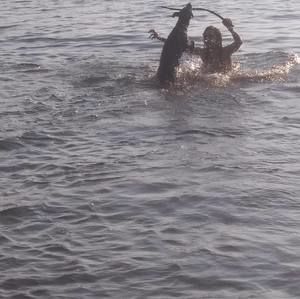 Meet your Posher, Scott